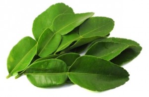 z10033754Q,Liscie-limonki-kaffir